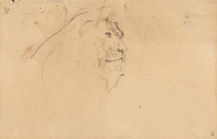 Серов Валентин Александрович (1865–1911) «Голова льва». 1896-1899. Бумага, графитный карандаш, 11x17 см.