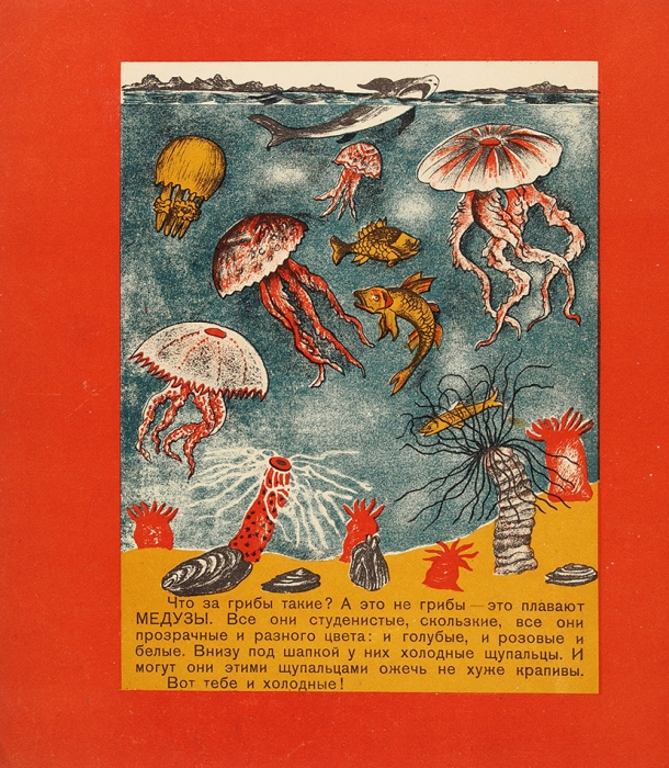 Владычина, Г. Морское дно / рисунки Б. Земенкова. М.: Госиздат, 1928.