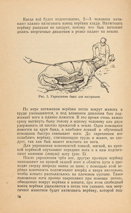 [Страшные рисунки] Студенцов, А. Кастрация самцов и самок рогатого скота и свиней. М.: Сельхозиздат, 1950.