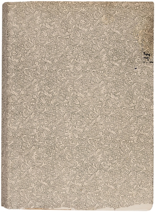 Пазухин, А.М. Ястребиное гнездо. Роман. М.: Тип. Вильде, 1901.