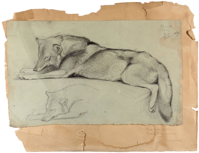 Ватагин Василий Алексеевич (1884–1969) «Волк». 1938. Бумага, графитный карандаш, 21,6x35,2 см.