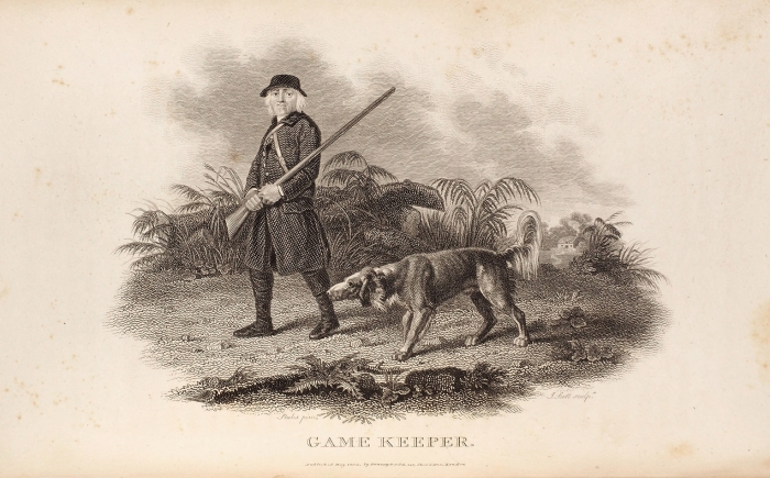 [Более 80 гравюр] Дэниел, В.Б. Сельский спорт. [Охота и рыбалка]. [Rural sports. На англ. яз.]. В 3 т. Т. 1-3 + доп. Б.м.: Publ. Bunny & Gold; Printed for B & R Crosby & C°, 1801-1813.