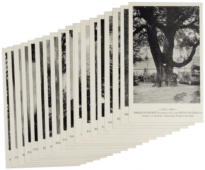 Коллекция из 18 почтовых карточек «Императорский Ботанический сад Петра Великого» / фот. А.Ф. Алексеева. М.: Фототип. Шерер, Набгольц и К°, 1913.