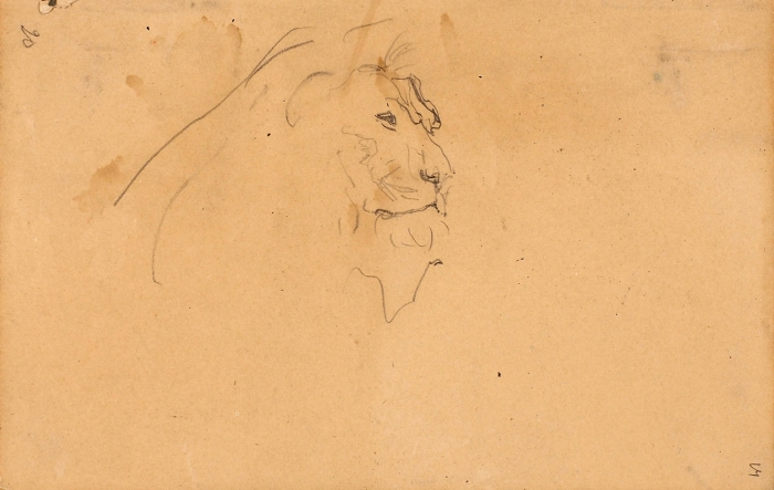 Серов Валентин Александрович (1865–1911) «Голова льва». 1896-1899. Бумага, графитный карандаш, 11x17 см.