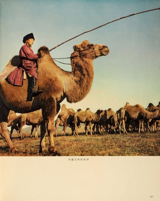 [Роскошное подарочное издание] Китай. Художественный альбом. [На кит. яз. + брошюра на англ. яз.] Пекин: Tditorial Board of China, 1959.