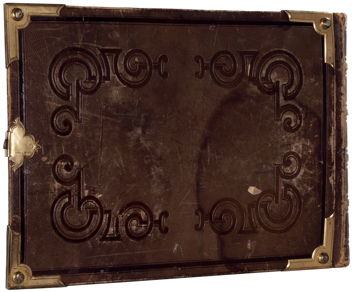 Альбом китайских экспортных миниатюр (тунцао чжи). 32 листа. 1850-е. Тетрапанакс (tetrapanax), минеральные краски. Размер альбома 31x43 см.