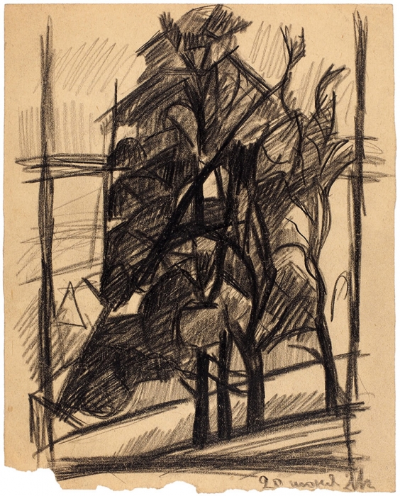 Лапин Василий Алексеевич (1903–1965) «Дерево». 1920-е. Бумага, итальянский карандаш, 22x17,7 см.